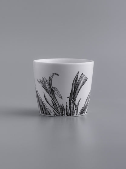 Versus Nurture Vintage Sketch Cup - A